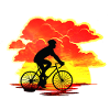 Bicycle in the sunset,