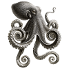 Octopus Octopus Octopus Sea Octopus