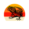 Équipe Gecko Léopard