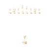 Chess Chess Player Chessboard