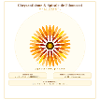 Chrysantème Spirale Fibonacci