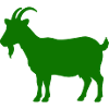 ziege_tier