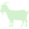 Mintgrüne Ziegen-Silhouette