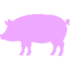 Silhouette de cochon