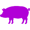 Silhouette de cochon