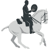 cavalier d’équitation sur cheval blanc