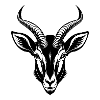Tête d’oryx