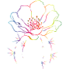 Cactus with Blossom Line Art Illustration