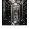 Biblioteca Heron Mistero Crimine Animale Vintage