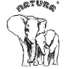 Elephant Nature