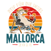 Mallorca 2026 Strandkorb Seemöwe