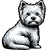 West Highland Terrier Westie Westie Owner