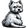 West Highland Terrier Westie Westie Owner
