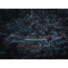 Dunkler Wald bei Nacht