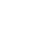 Fleur blanche étrange