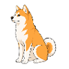 Cheerful Shiba Inu Illustration