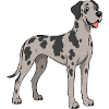 Cheerful images of a Great Dane