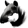 Malayan tapir