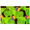 Tropical Birds and Fruit