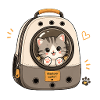 Katzenabenteuer im Rucksack