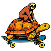 Sloth gets by turtle on skateboard
