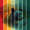 BÄRENNATUR