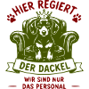 Dackel regiert: Königsstuhl