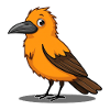 Oiseau orange