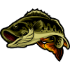 Barsch Angeln Fisch Illustration