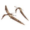 Ptérosaure Zhenyuanopterus