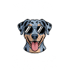 Louisiana Catahoula Leopard Dog Saying Gift