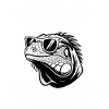 Iguanas Sayings Iguanas Funny Iguanas Gift