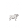 Don des vaches Brahman
