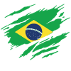 Brésil Drapeau Brésilien Brésilienne