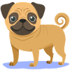 Kleiner Mops (Comic)