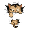 Chat Drôle