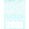 Figure 2021