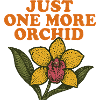 Nur noch eine Orchidee