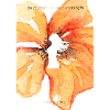 Be Yourself - Hibiscus Floral Silhouette