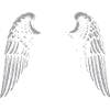 Ailes d’Ange Déchus