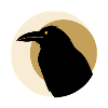 Raven Moon Streetwear Symbol Dark Raven