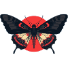 Dark Moth Symbol Alternative Streetwear