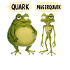 Quark Magerquark Lustige Frösche Für Froschfans