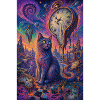 Chat cosmique et horloges fondantes