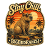 Stay Chill Bär auf Skateboard