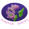 FOREVER SPRING Flieder Fotodruck