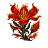 Flame Blossom Phoenix Plant