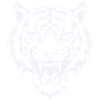 Stylized tiger head pattern