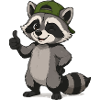 Raccoon with Green Cap Cartoon