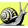 Escargot